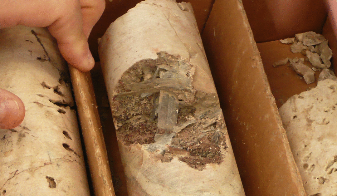 NioCorp Reports Final Assay Results From the Department of War-Funded Elk Creek Drilling Campaign