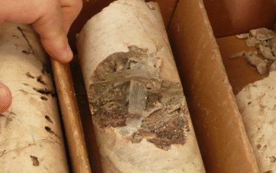 NioCorp Reports Final Assay Results From the Department of War-Funded Elk Creek Drilling Campaign